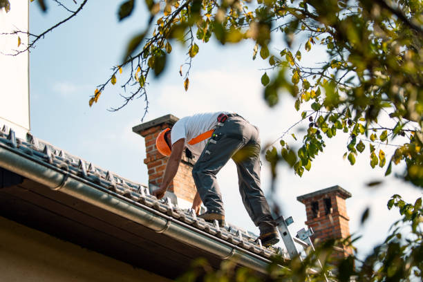 Best Roof Gutter Cleaning  in Mount Ayr, IA