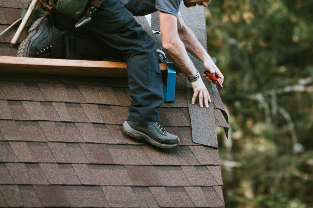 Best Metal Roofing Contractor  in Mount Ayr, IA